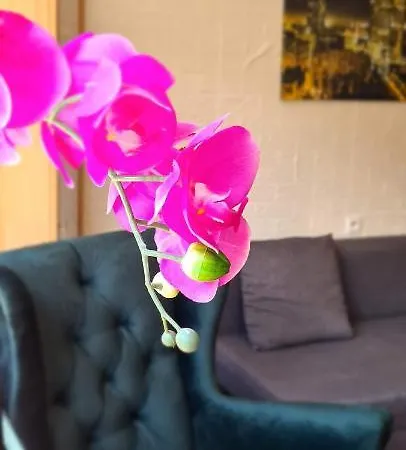 W Centrum Warszawy I Appartement *