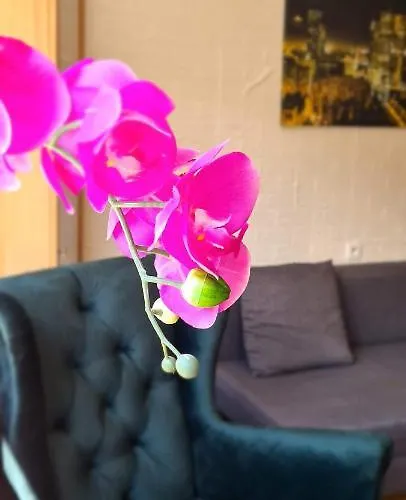 W Centrum Warszawy I Apartment *